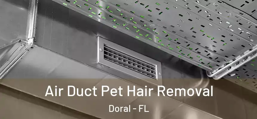 Air Duct Pet Hair Removal Doral - FL