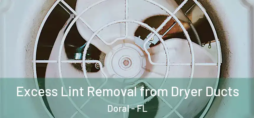 Excess Lint Removal from Dryer Ducts Doral - FL