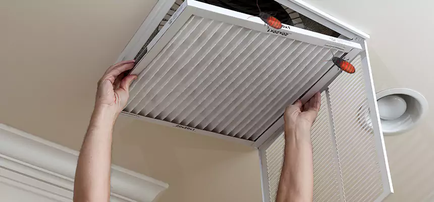 Our Insect Removal from Air Ducts Services in Doral, FL