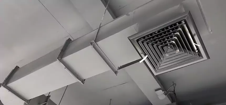 Our Pest Removal From Ducts Services in Doral, FL