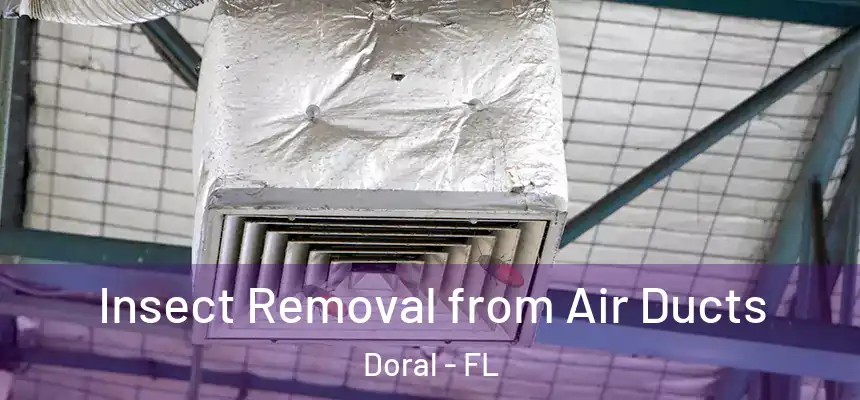 Insect Removal from Air Ducts Doral - FL