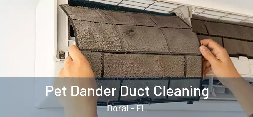 Pet Dander Duct Cleaning Doral - FL