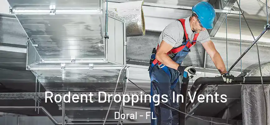 Rodent Droppings In Vents Doral - FL