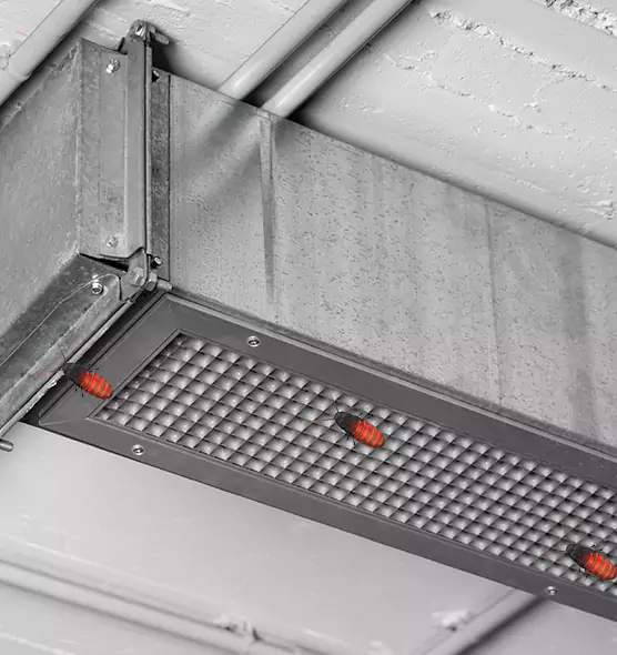 About Air Duct Cockroach Removal in Doral, FL