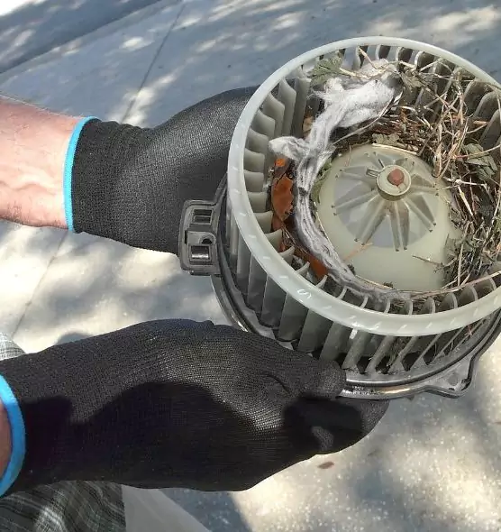 About Air Duct Mice Removal in Doral, FL