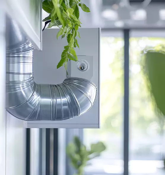 Professional Eco-Friendly Duct Cleaning Services in Doral, FL