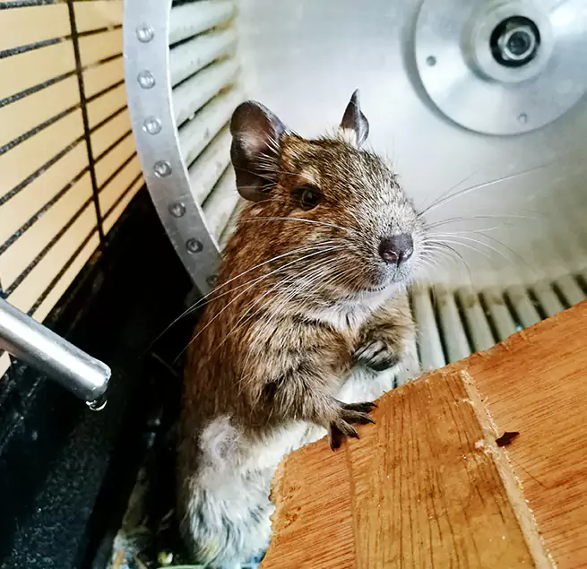 Why Homeowners & Businesses Trust Us Doral, FL?