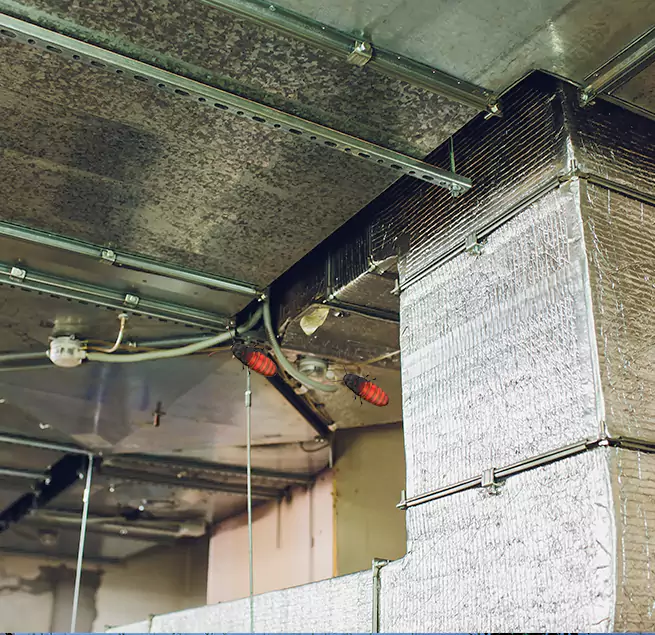 Why Homeowners & Businesses Trust Us Doral, FL?